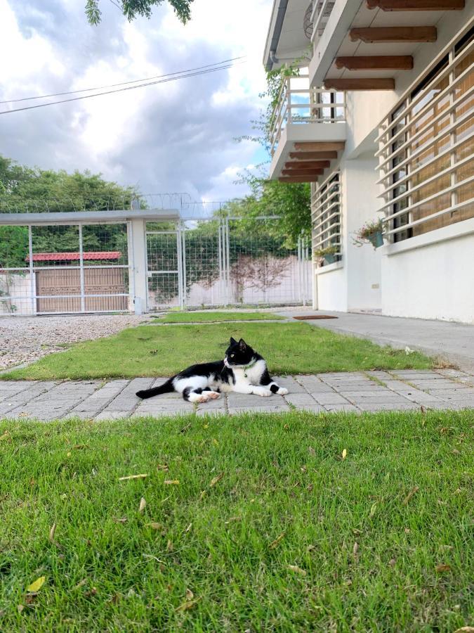 Casa Buda 2 Liberia Cerca Del Aeropuerto Eksteriør bilde